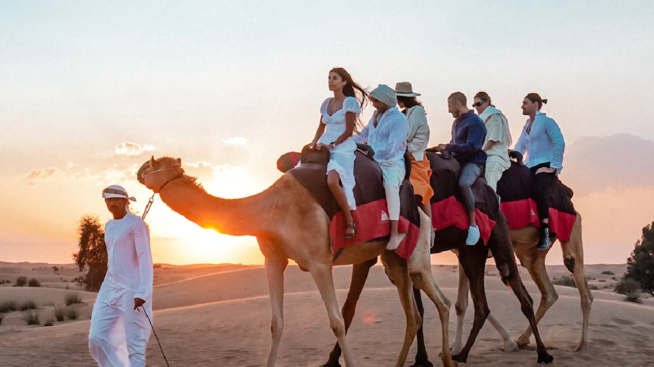 VIP Desert Safari with Shared Transfer Ticket