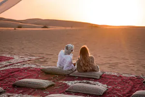 VIP Desert Safari with Shared Transfer