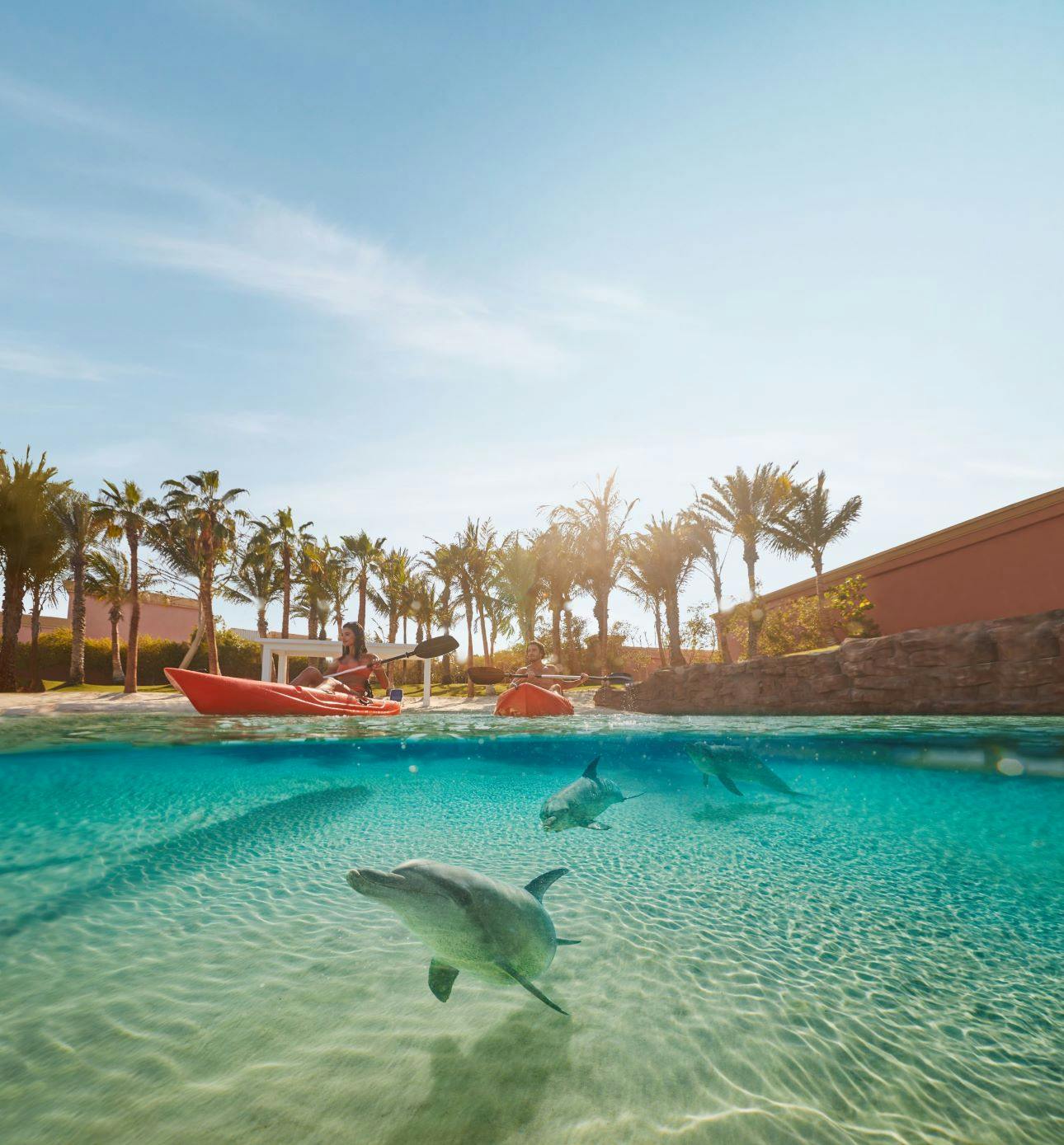 Atlantis Dolphin Kayak Ticket