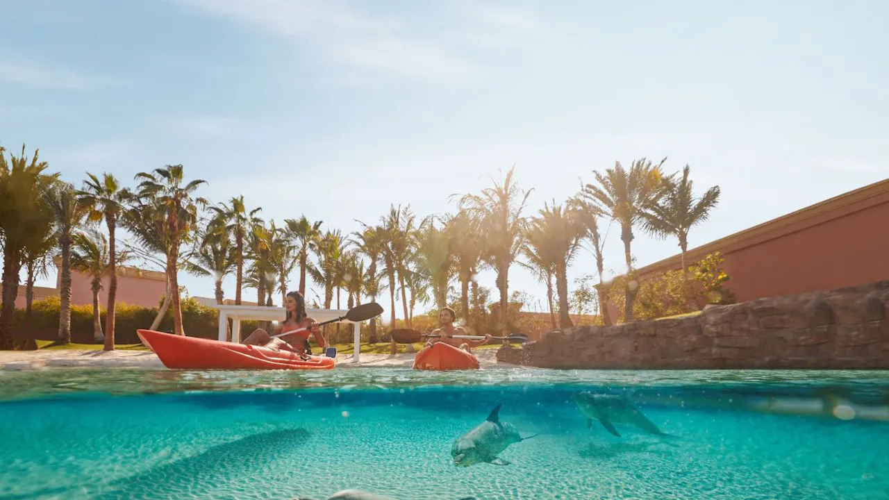 Atlantis Dolphin Kayak Ticket