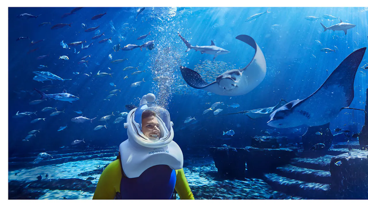 Atlantis Aquaventure Shark Snorkel Price