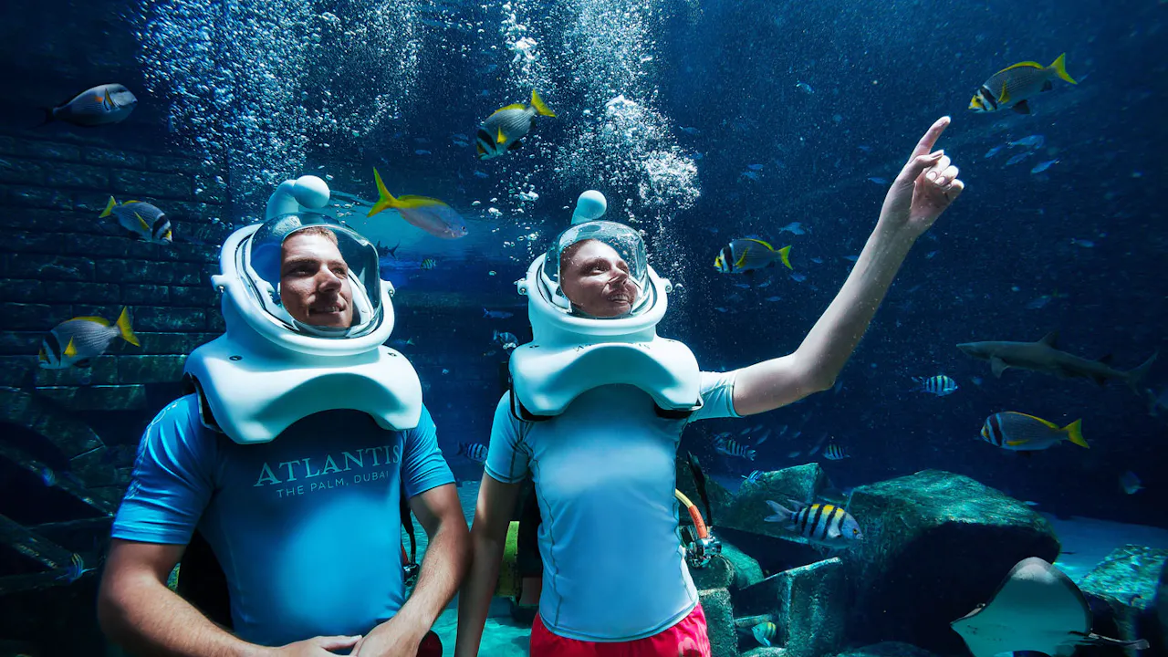 Atlantis Aquaventure Shark Snorkel Ticket