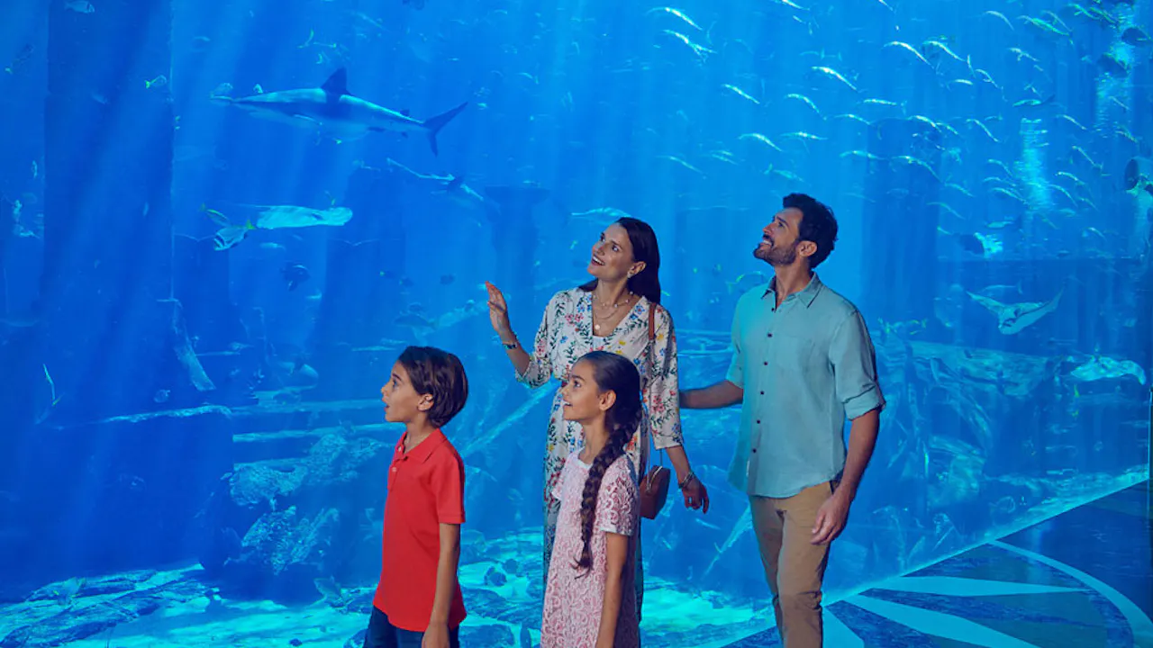 Atlantis Aquaventure Shark Snorkel Location