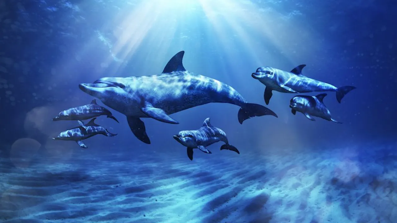 atlantis the palm water park