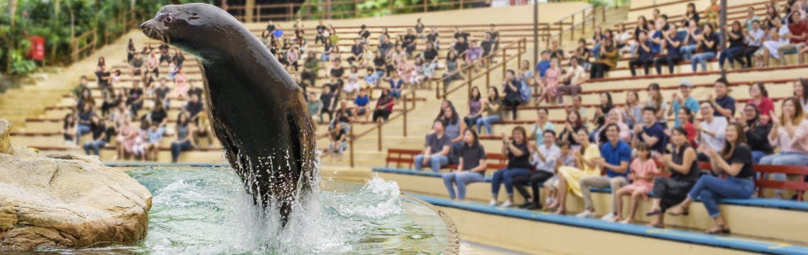 Singapore Zoo Tickets Location