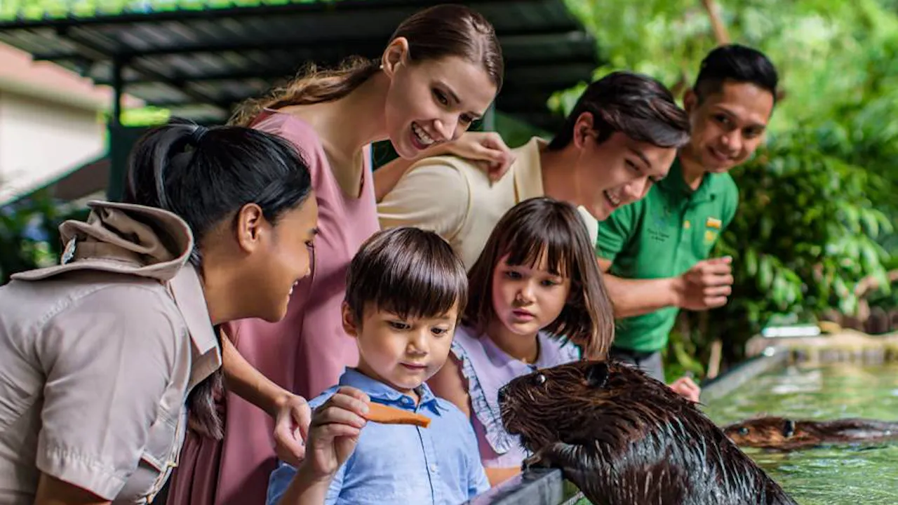 Singapore Zoo Tickets Ticket