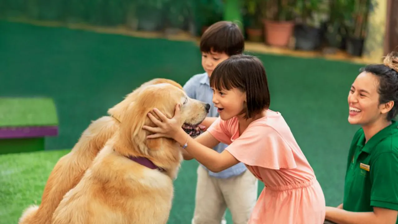 Singapore Zoo Tickets Location