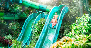 Adventure Cove Waterpark Ticket in Singapore