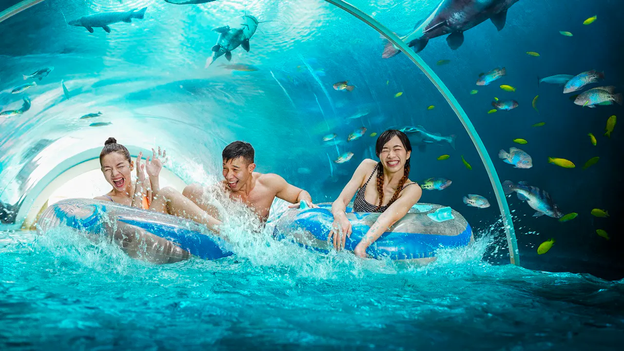 Adventure Cove Waterpark Tickets