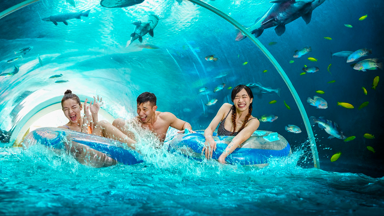 Adventure Cove Waterpark Tickets