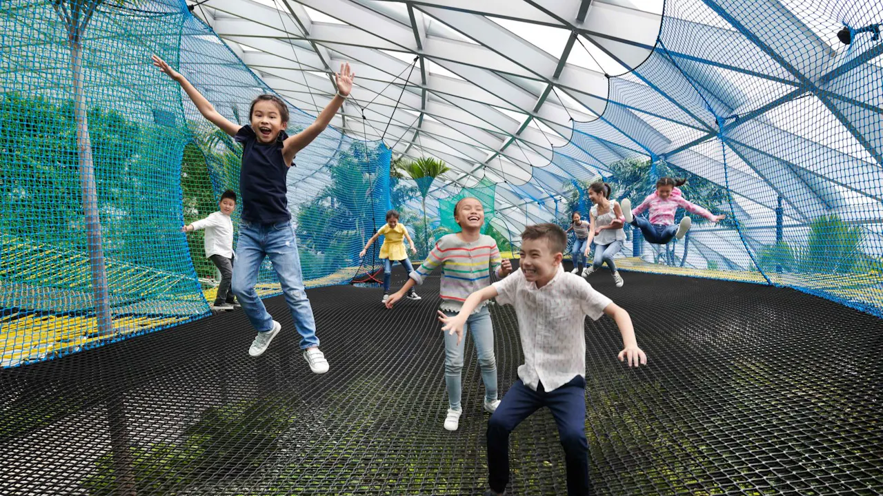 Jewel Changi Airport: Canopy Park Admission Ticket with Maze Discount