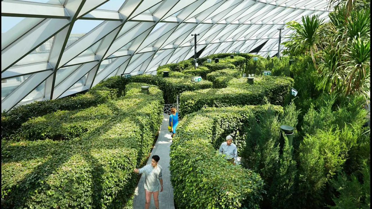 Jewel Changi Airport: Canopy Park Admission Ticket with Maze