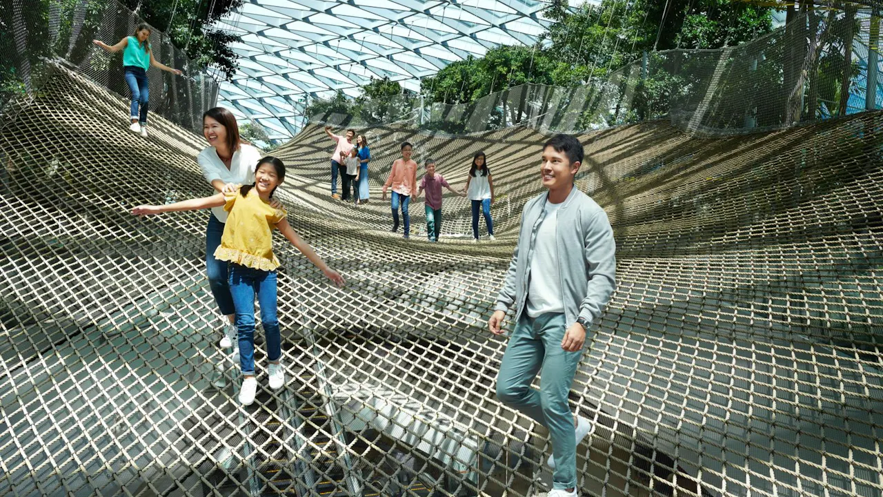 Jewel Changi Airport: Canopy Park Admission Ticket with Maze Ticket