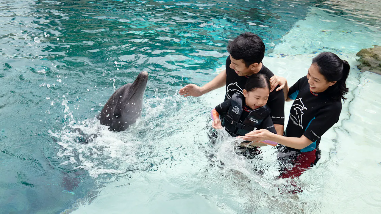 Dolphin Island Singapore Tickets Price