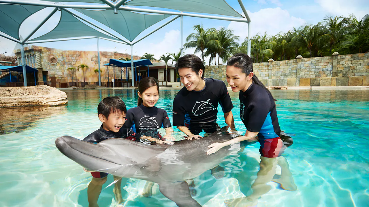 Dolphin Island Singapore Tickets Ticket