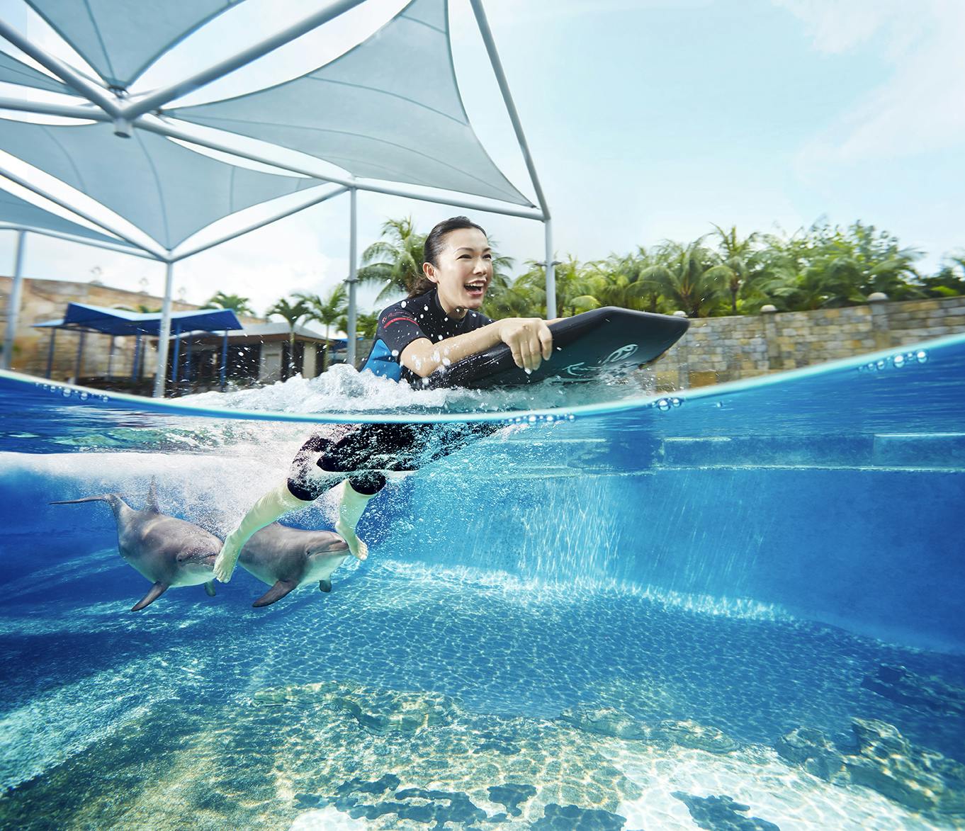 Dolphin Island Singapore Tickets