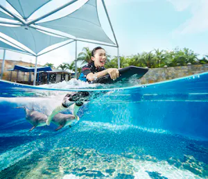 Dolphin Island Singapore Tickets
