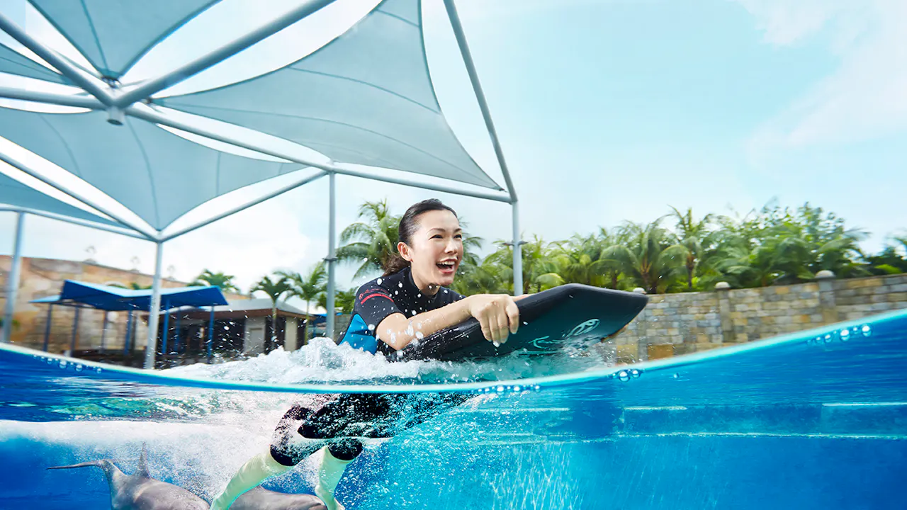 Dolphin Island Singapore Tickets