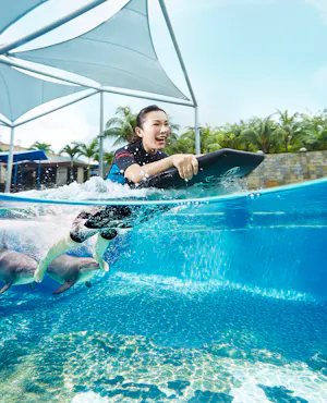 Dolphin Island Singapore Tickets
