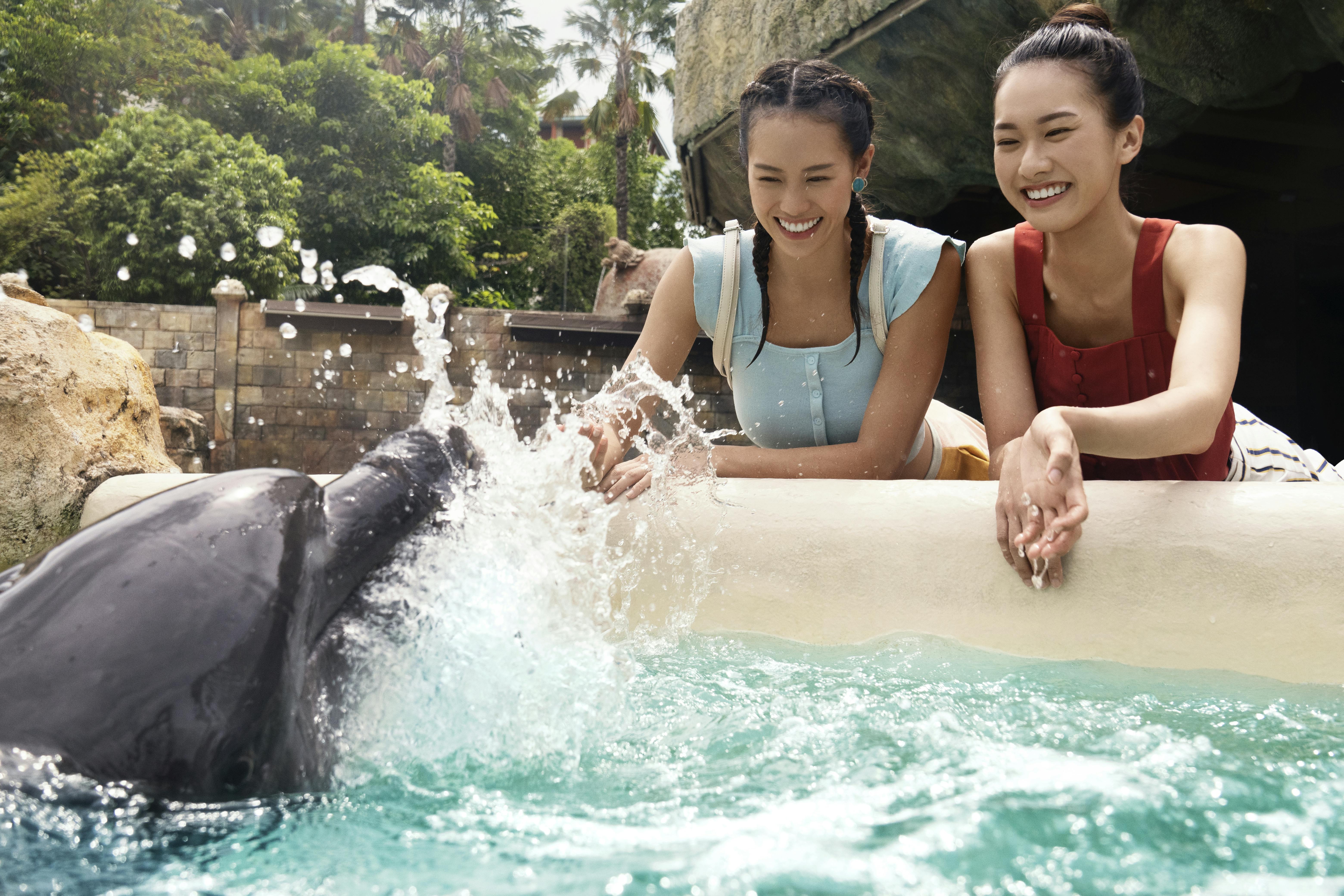 Dolphin Island Singapore Tickets Location