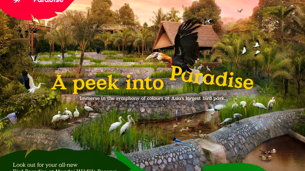singapore bird paradise