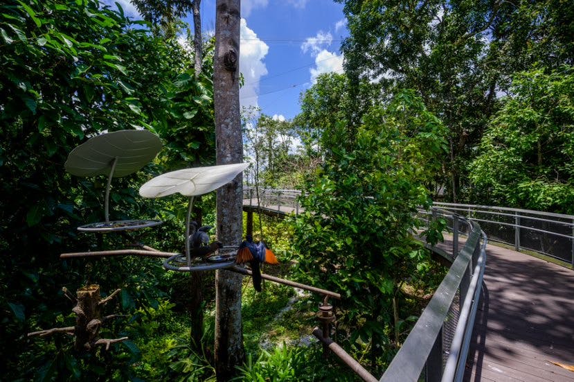 Bird Paradise tickets