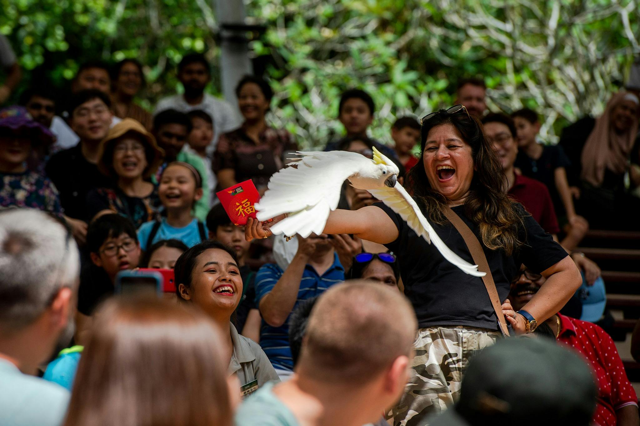 Bird Paradise tickets Price