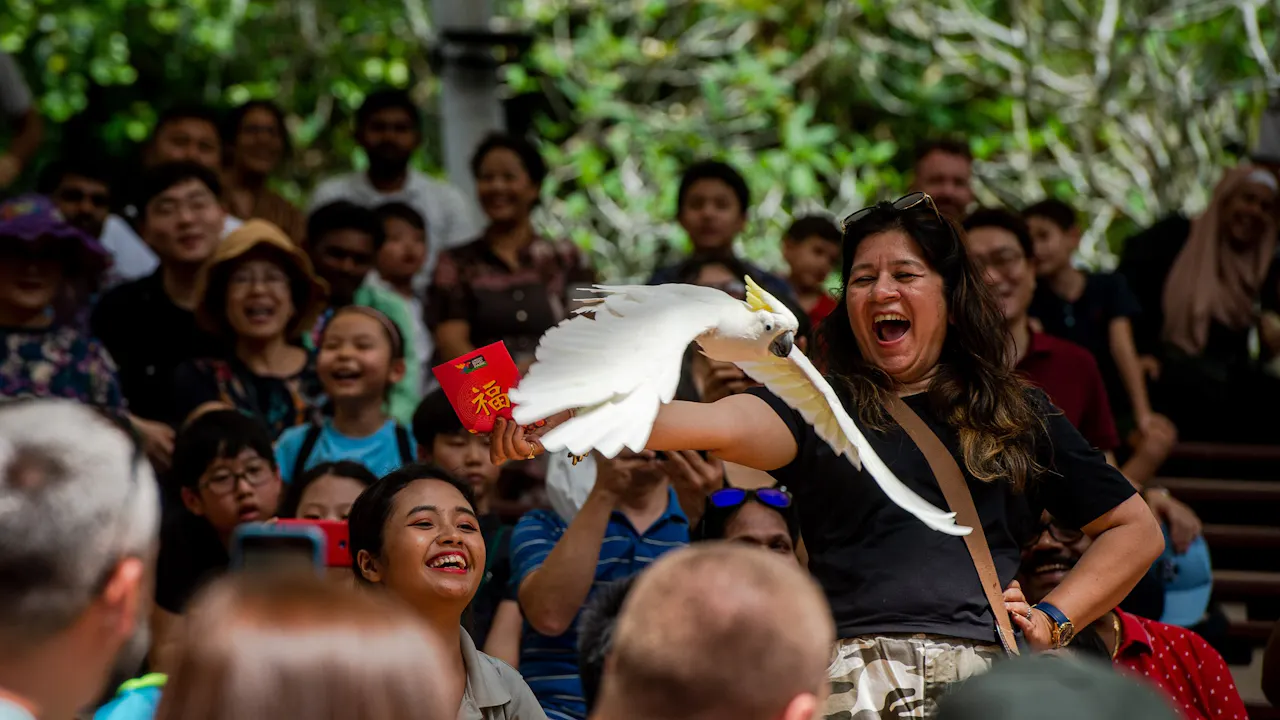 Bird Paradise tickets Price