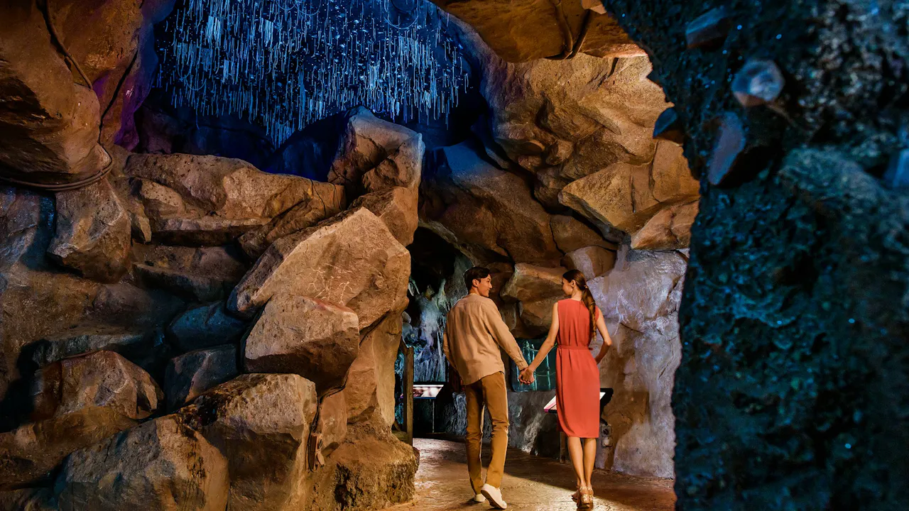 Bird Paradise tickets Ticket