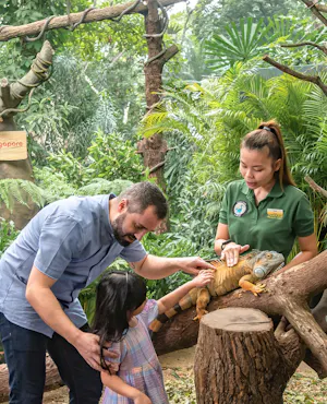 Bird Paradise tickets