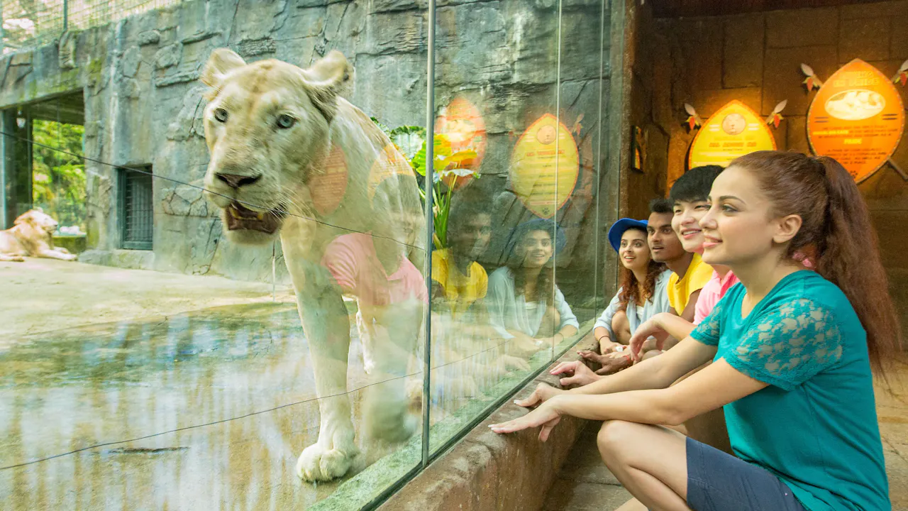 sunway lagoon admission ticket