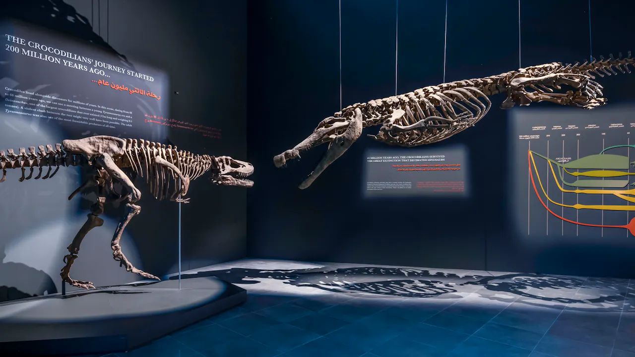 Crocodile Park Dubai Location