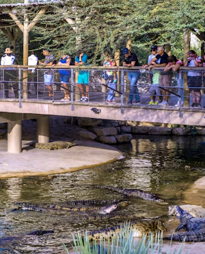 Dubai Crocodile Park Tickets