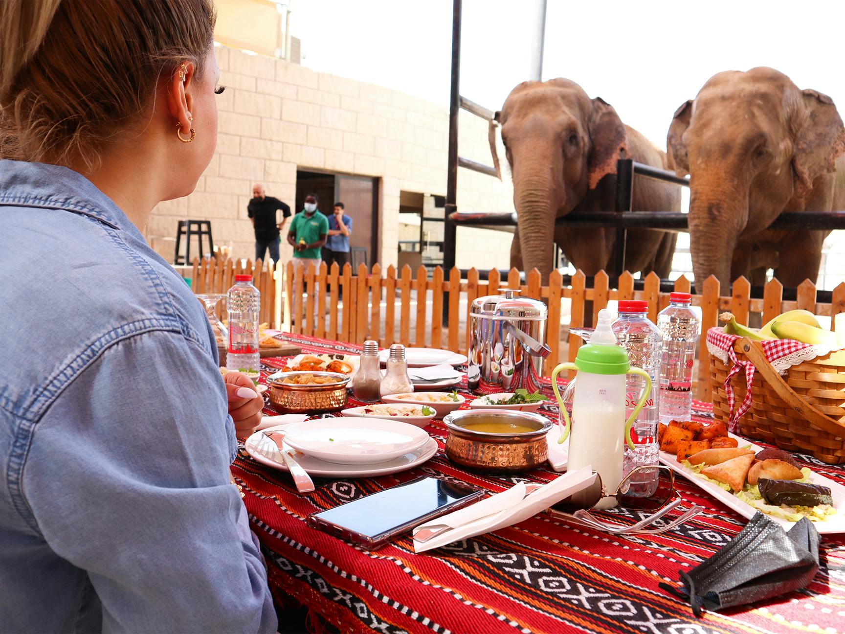 Emirates Park Zoo Tickets Thrillark