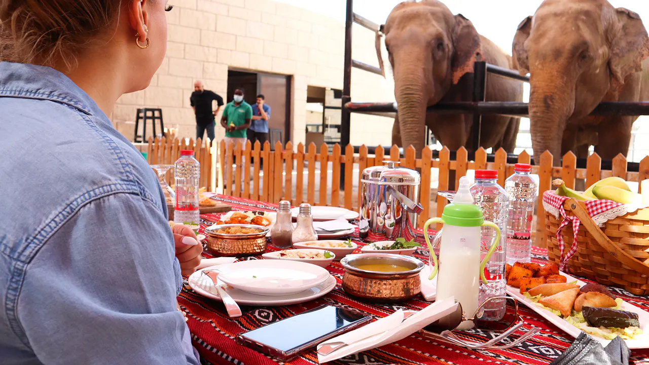 Emirates Park Zoo Tickets Thrillark