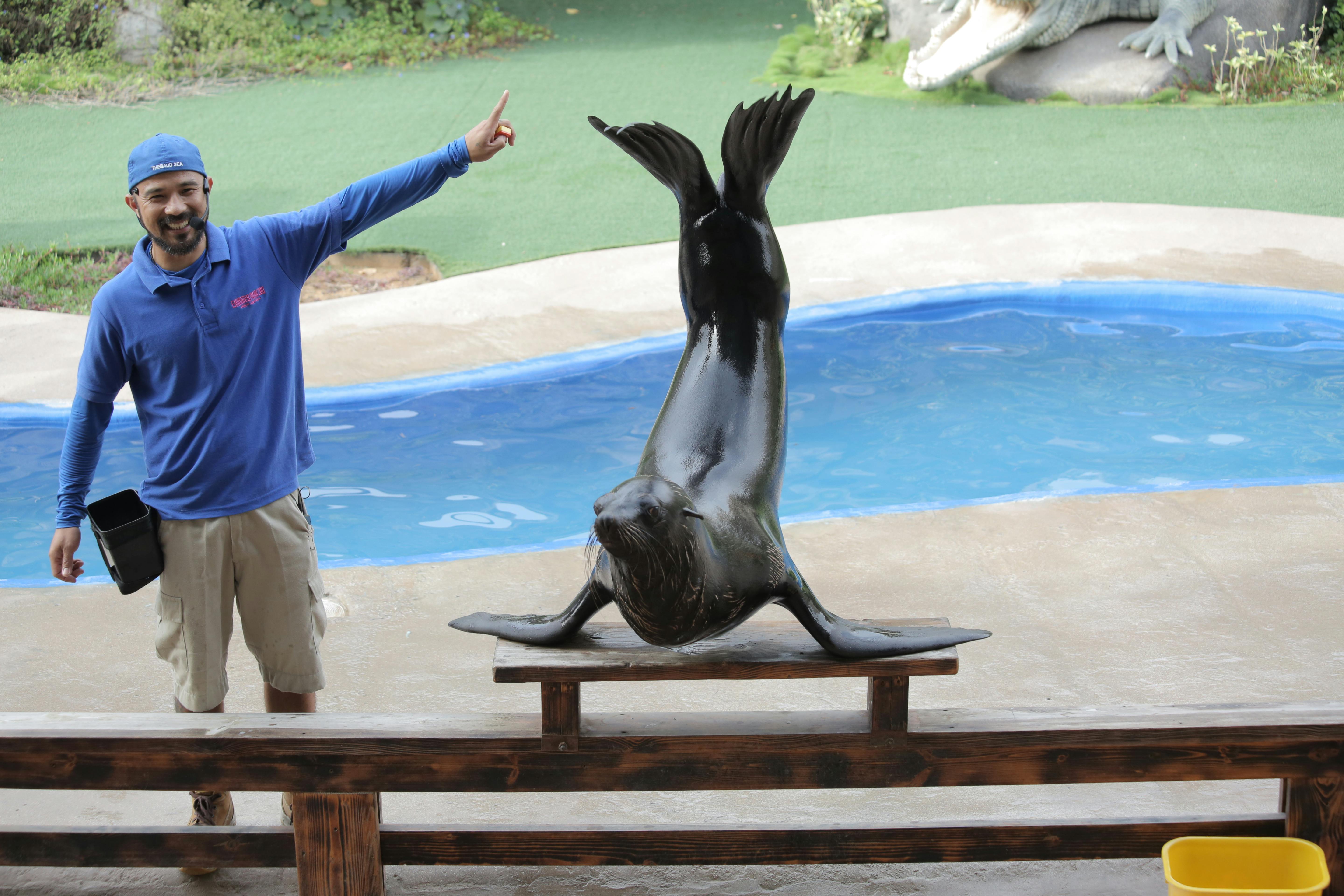 emirates park resort abu dhabi