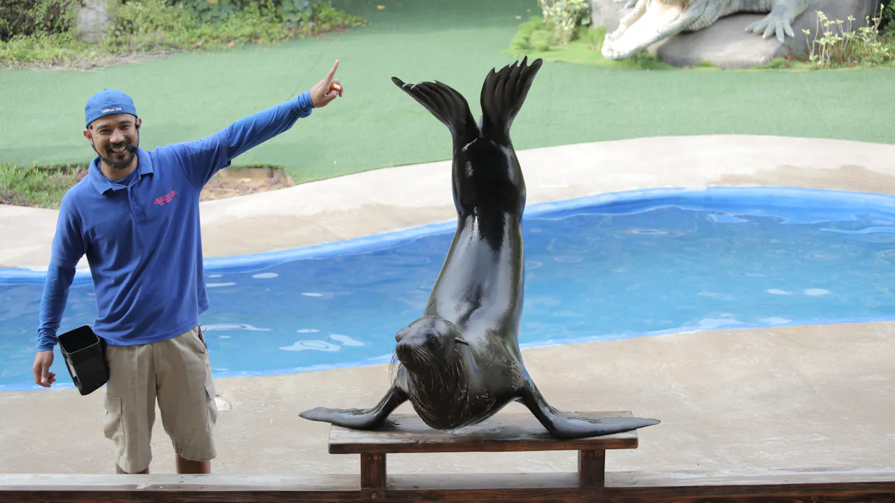 emirates park resort abu dhabi