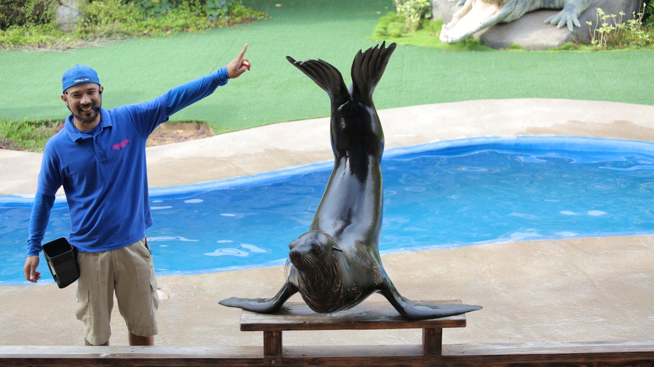 emirates park resort abu dhabi