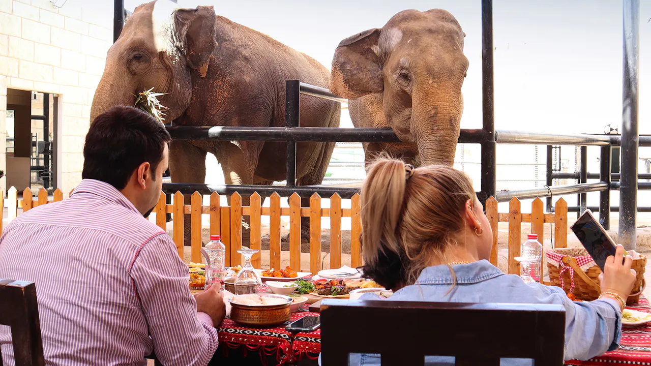 emirates park zoo tickets