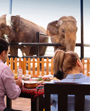 Emirates Park Zoo Tickets