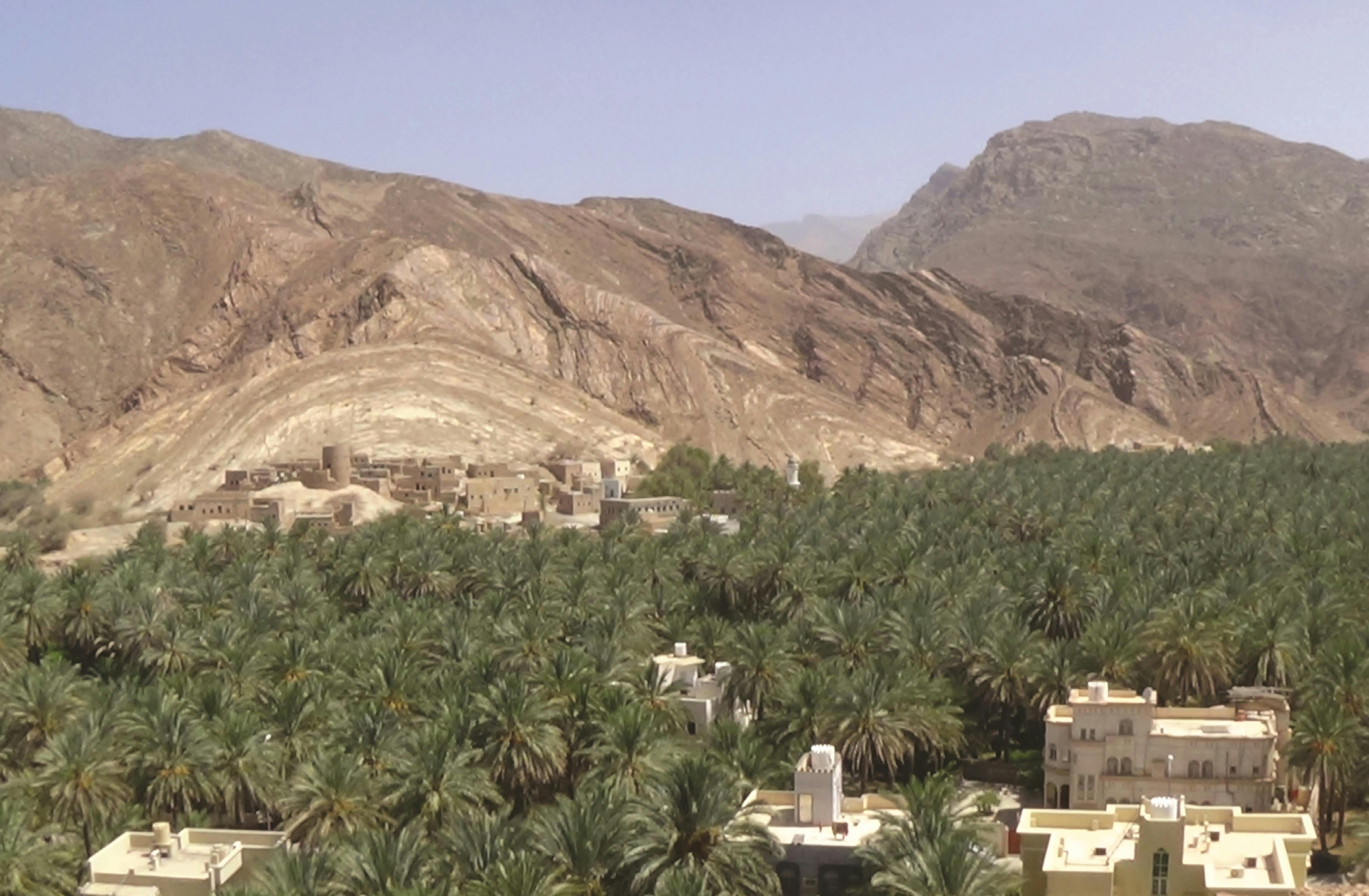 Nizwa Full-Day Tour From Muscat Thrillark