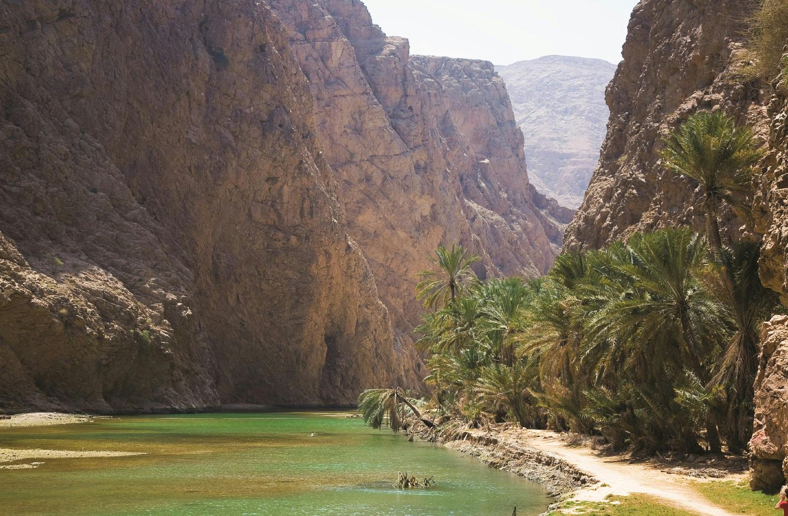 Discover The South & Wadi Shab From Muscat Category