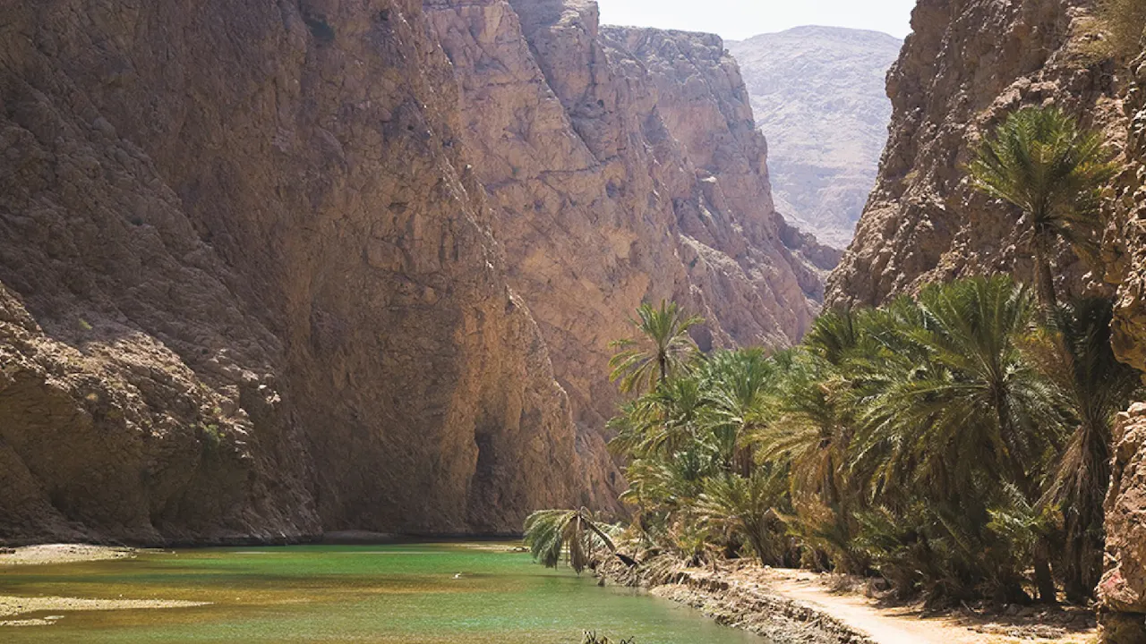 Wahiba Sands & Sur Full Day Tour From Muscat Price