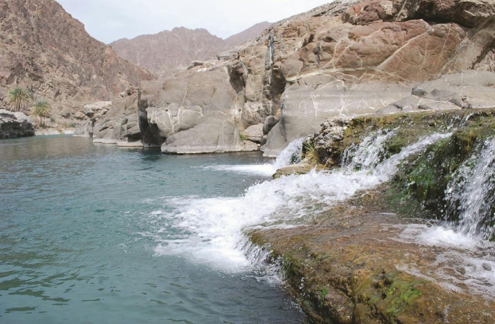Wadi Al Abyadh by 4×4 Full Day Private Tour From Muscat Review