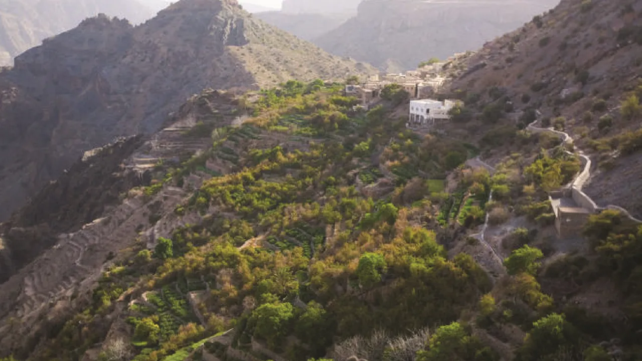 Full-Day 4x4 Jebel Akhdar Tour From Muscat With Lunch Category