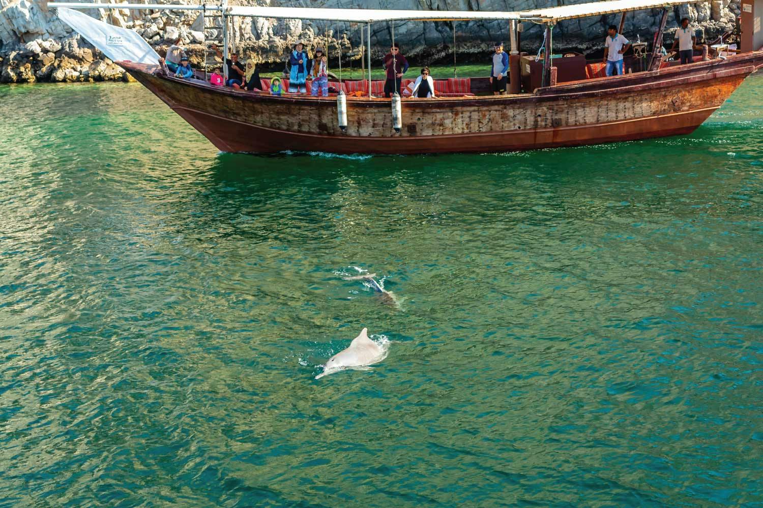 Dolphin Cruise In Muscat Review