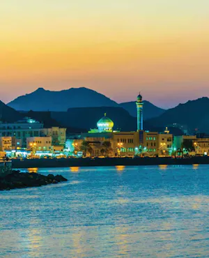 Discover Muscat by Night Half Day Tour & Dine experience