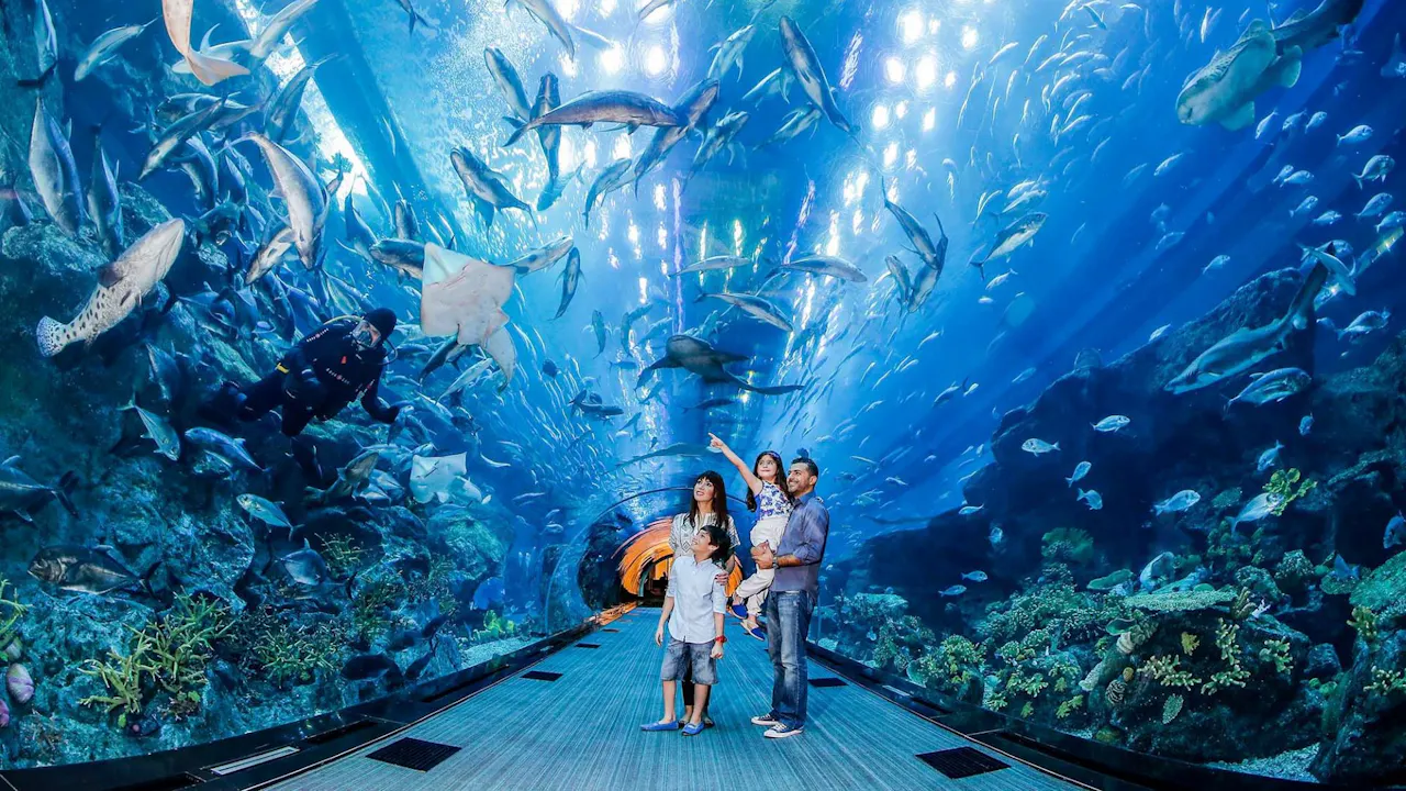 Dubai Explorer Pass : Choose 3 ,5 to 7 Attractions Ticket
