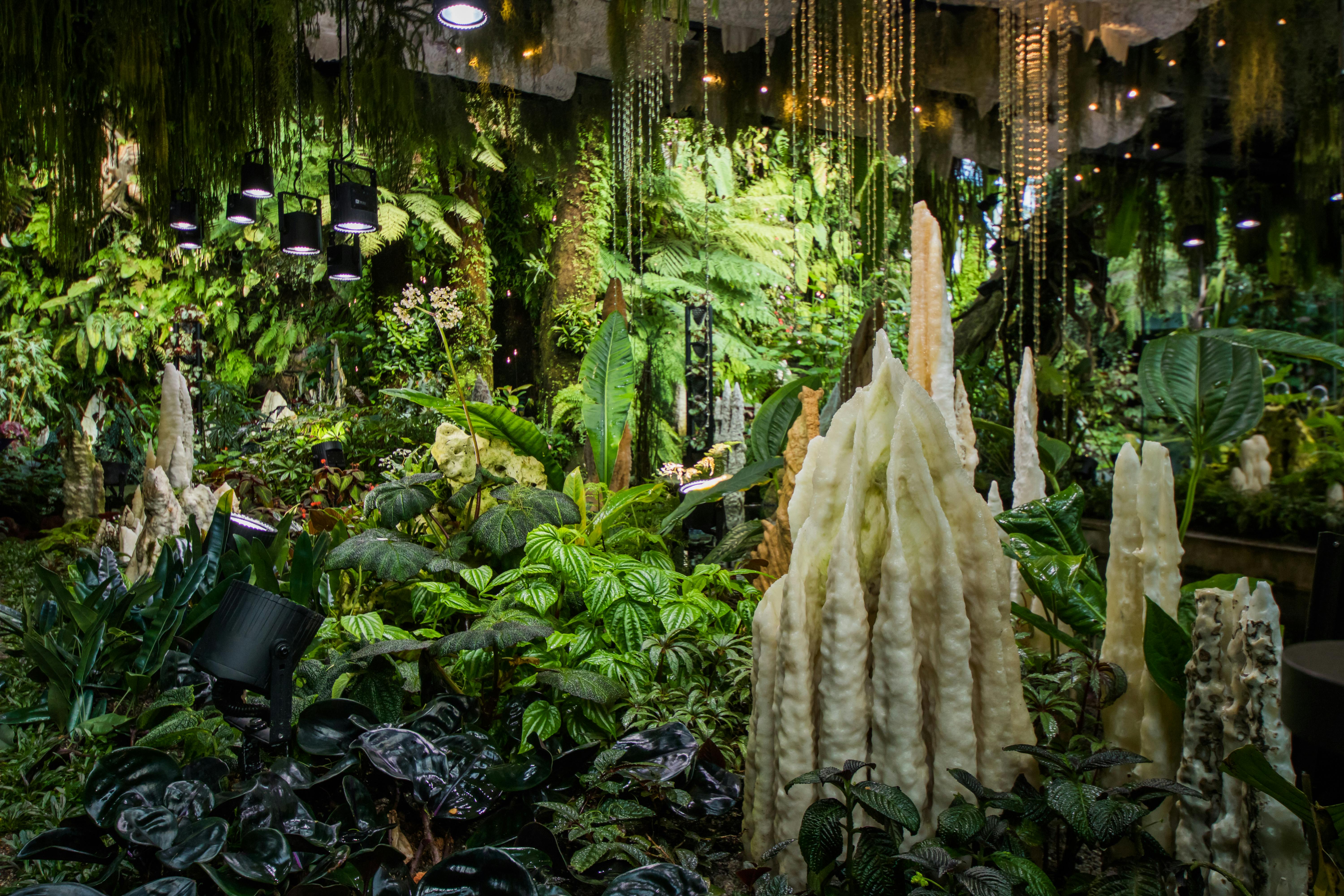 Gardens By The Bay Review