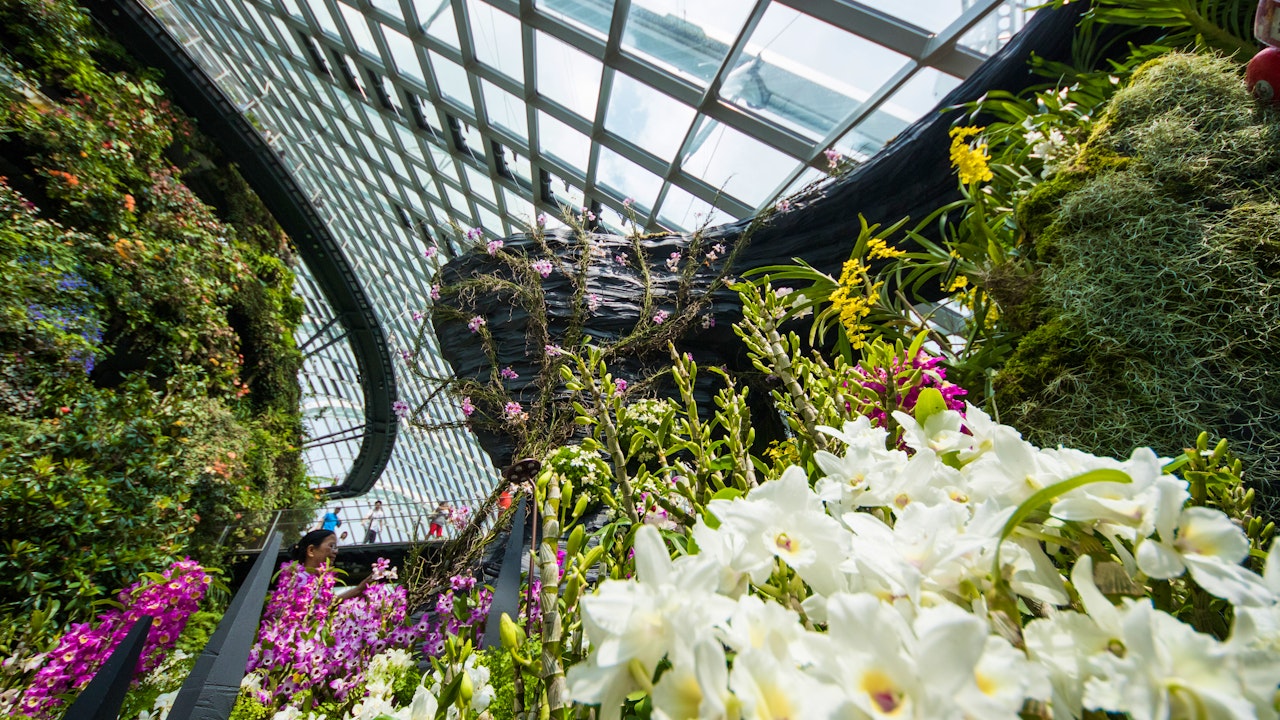 Gardens By The Bay